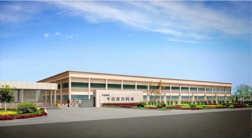 如何選擇優質的手足修復產品加工廠 日常用品選購指南